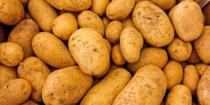 Par peur d'une pénurie il commande 30 tonnes de pommes de terre