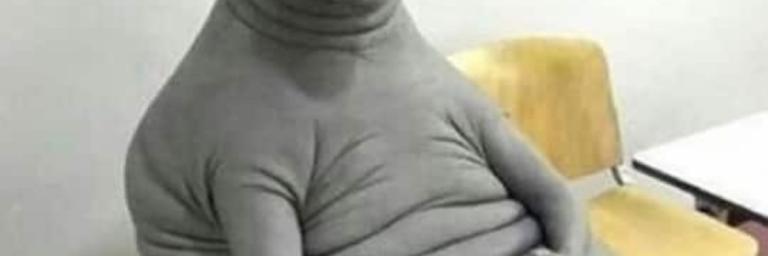 L'essai clinique avec le sang de ver marin contre le Covid-19 a été interrompu