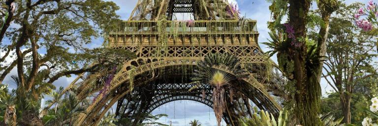 Confinement et nature en ville redécouverte d'un monde vivant