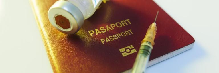 Démantèlement d'un marché de faux passeports vaccinal