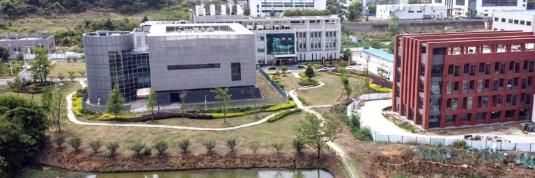 Secret défense : Le coronavirus covid-19 échappé du laboratoire de Wuhan