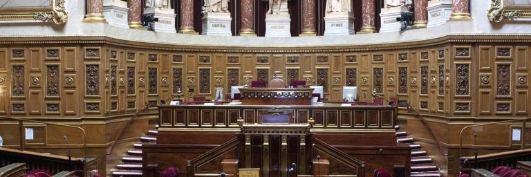 Coronavirus : La moyenne d'âge du Sénat pourrait baisser de 20 ans